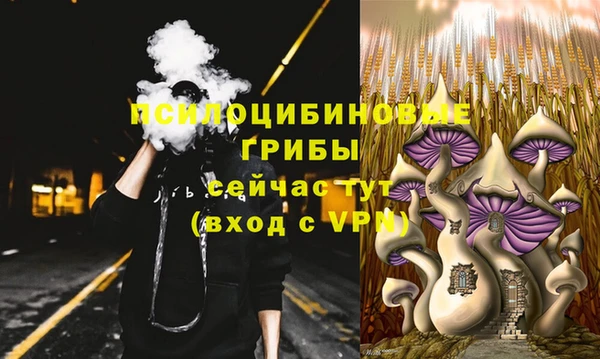 прущая мука Заводоуковск