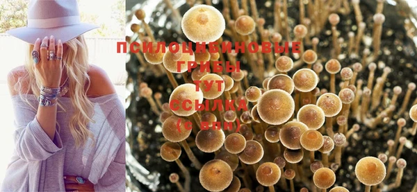 прущая мука Заволжье