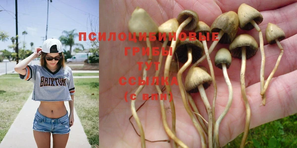 прущая мука Заводоуковск