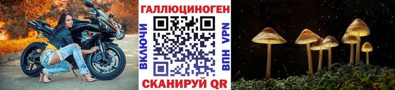 Галлюциногенные грибы Psilocybine cubensis  Купить  Волчанск 